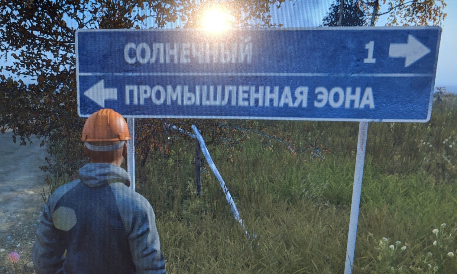 This young man was lost, it wasnt until the Royals found him, that he found his way